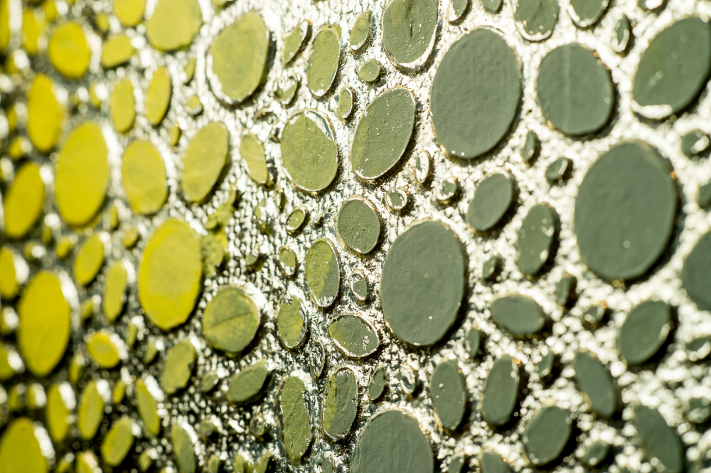 Money mandala 