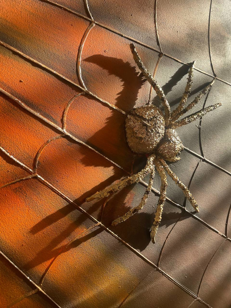 Spider