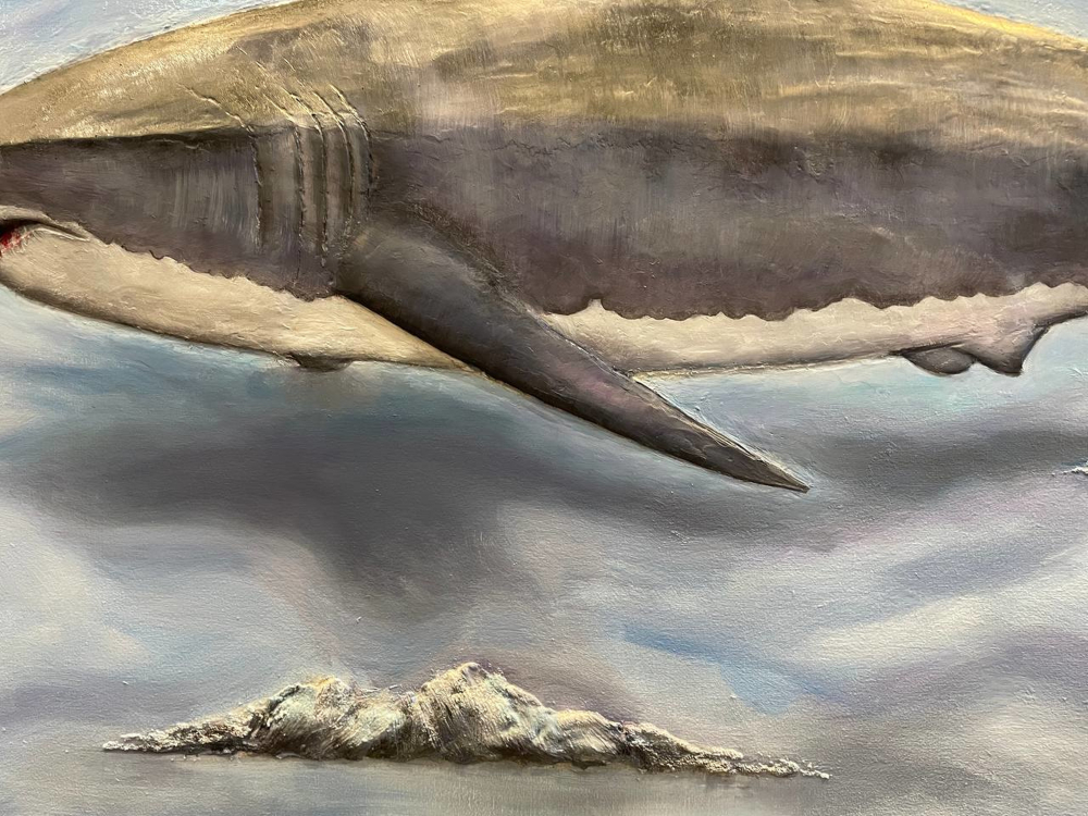 Shark