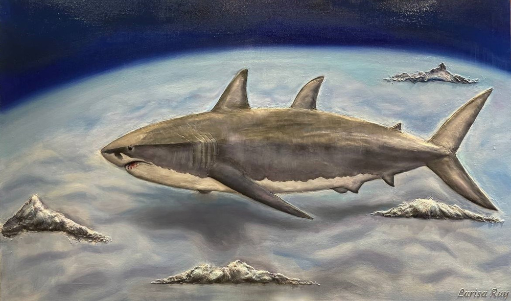 Shark