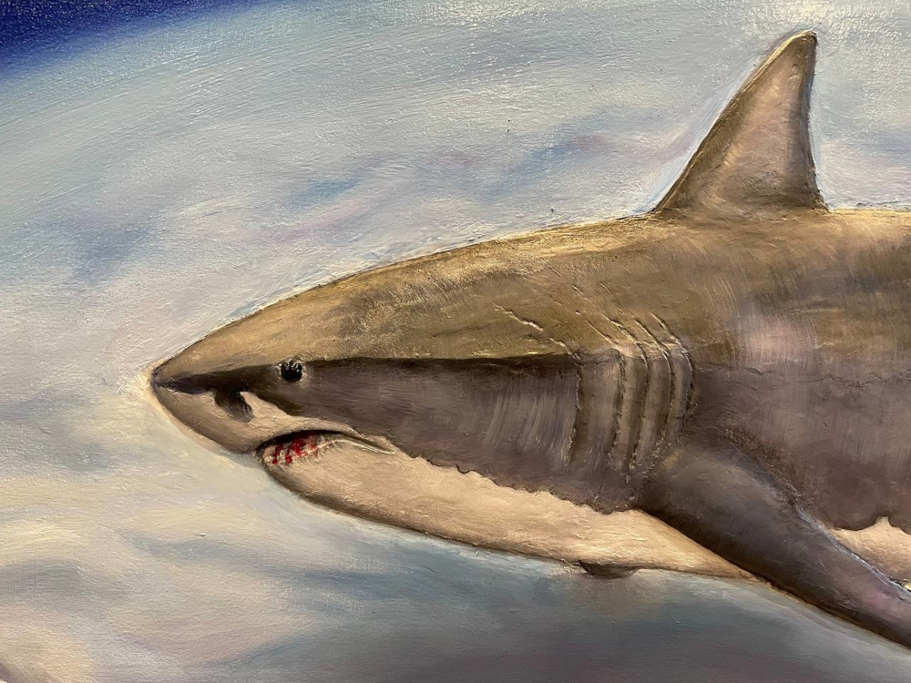 Shark
