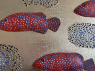 Red fish