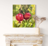 Pomegranate 